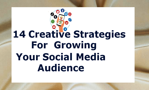 Social Media Audience: 14 Creative Strategies for Massive Growth