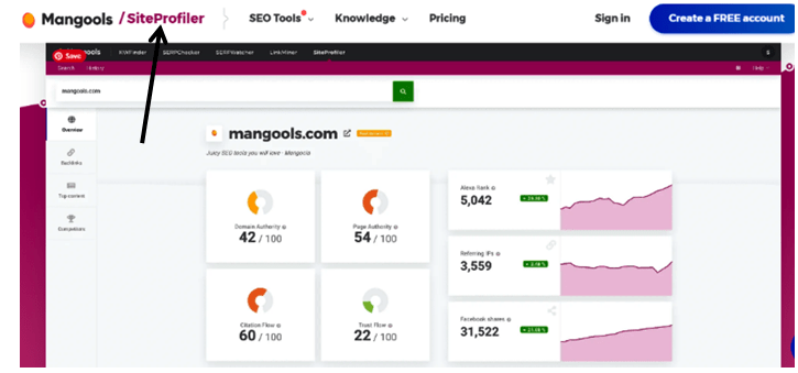 Mangools tools review- the SiteProfiler 