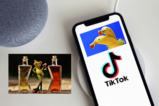 Funny videos for TikTok